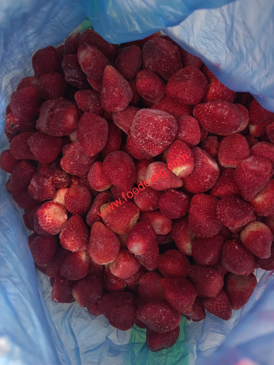 frozen strawberry new season 1