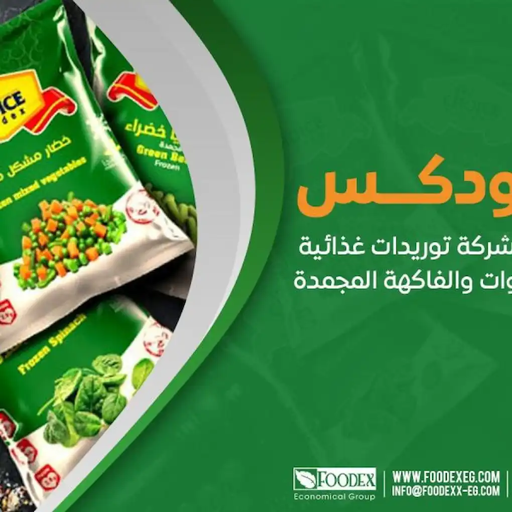 تصدير الخضروات المجمدة