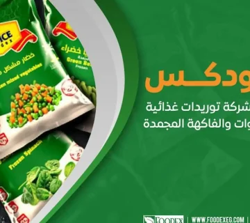 أفضل شركة توريدات غذائية