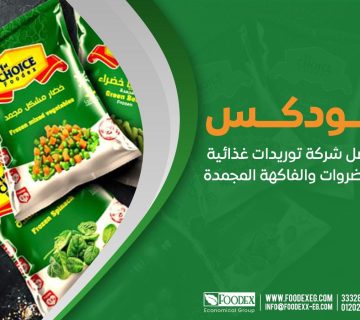 لماذا تختار الملوخية المجمدة من فودكس المطاعم والفنادق؟