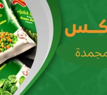 مانجو مجمد بالجمله