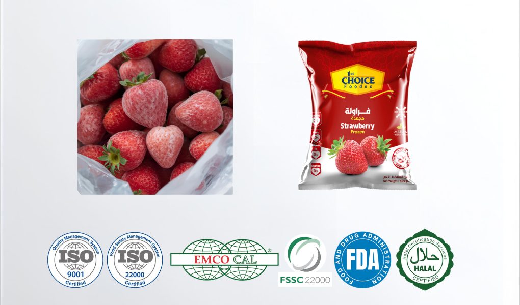 فوديكس شركة توريدات مطاعم